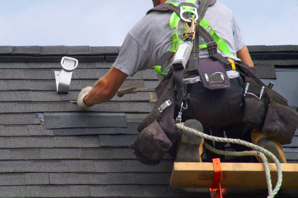 Best Roof Leak Repair  in Newark, IL