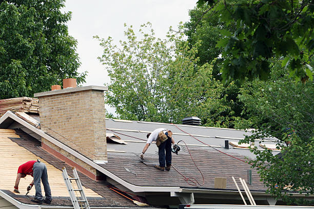 Best Roof Gutter Cleaning  in Newark, IL