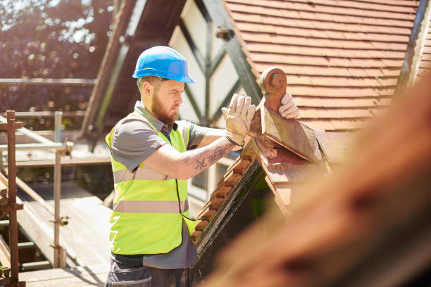 Professional Roofing Contractor in Newark, IL